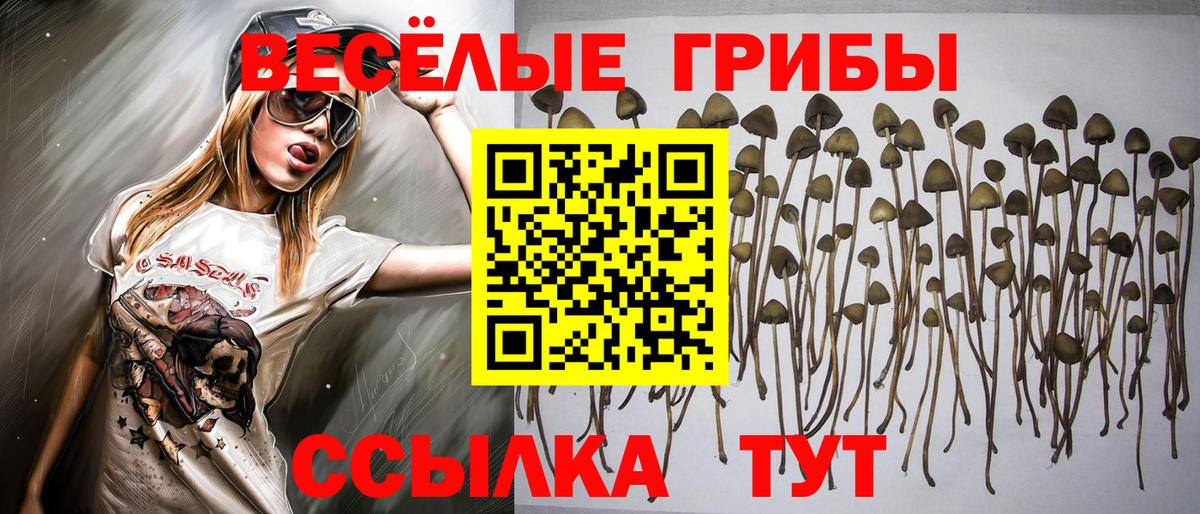 Псилоцибиновые грибы мицелий  Вход с VPN  купить закладку  Белореченск 